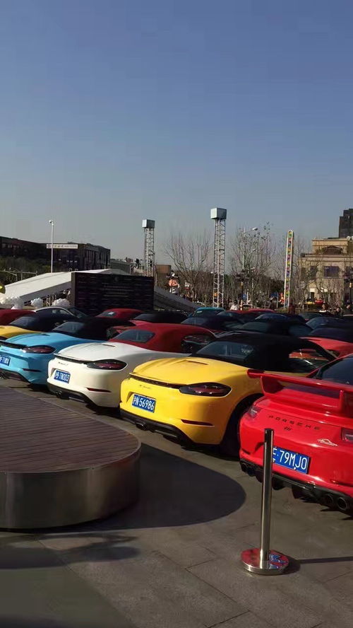 廣東保時捷租賃服務與上海租車市場 企業(yè)自駕與長包車新選擇