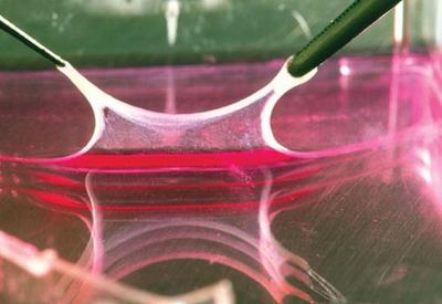 視頻_中國(guó)塑料機(jī)械網(wǎng)